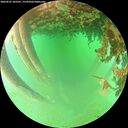 ./images/calvert/underwater/20260625/underwater20260625_105501M.jpg