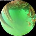 ./images/calvert/underwater/20260625/underwater20260625_110001M.jpg