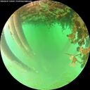 ./images/calvert/underwater/20260625/underwater20260625_110501M.jpg