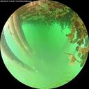 ./images/calvert/underwater/20260625/underwater20260625_111001M.jpg