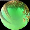./images/calvert/underwater/20260625/underwater20260625_112001M.jpg