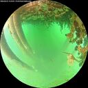 ./images/calvert/underwater/20260625/underwater20260625_112501M.jpg