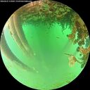 ./images/calvert/underwater/20260625/underwater20260625_113001M.jpg