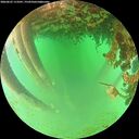 ./images/calvert/underwater/20260625/underwater20260625_113501M.jpg