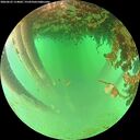 ./images/calvert/underwater/20260625/underwater20260625_114002M.jpg
