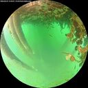 ./images/calvert/underwater/20260625/underwater20260625_114501M.jpg