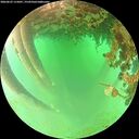 ./images/calvert/underwater/20260625/underwater20260625_115001M.jpg
