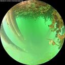 ./images/calvert/underwater/20260625/underwater20260625_115501M.jpg