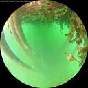 ./images/calvert/underwater/20260625/underwater20260625_120002M.jpg