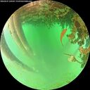 ./images/calvert/underwater/20260625/underwater20260625_120501M.jpg