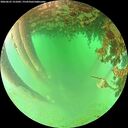 ./images/calvert/underwater/20260625/underwater20260625_121002M.jpg