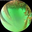 ./images/calvert/underwater/20260625/underwater20260625_122001M.jpg