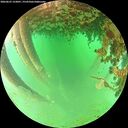 ./images/calvert/underwater/20260625/underwater20260625_123001M.jpg