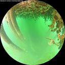 ./images/calvert/underwater/20260625/underwater20260625_123502M.jpg