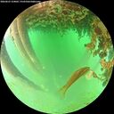 ./images/calvert/underwater/20260625/underwater20260625_124002M.jpg
