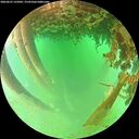 ./images/calvert/underwater/20260625/underwater20260625_125002M.jpg