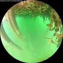 ./images/calvert/underwater/20260625/underwater20260625_125501M.jpg