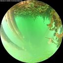 ./images/calvert/underwater/20260625/underwater20260625_130001M.jpg