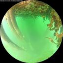 ./images/calvert/underwater/20260625/underwater20260625_131501M.jpg