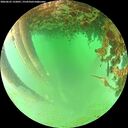 ./images/calvert/underwater/20260625/underwater20260625_132001M.jpg