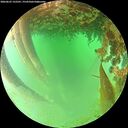 ./images/calvert/underwater/20260625/underwater20260625_132501M.jpg