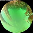 ./images/calvert/underwater/20260625/underwater20260625_133001M.jpg