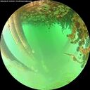 ./images/calvert/underwater/20260625/underwater20260625_133501M.jpg