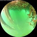 ./images/calvert/underwater/20260625/underwater20260625_134501M.jpg