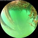 ./images/calvert/underwater/20260625/underwater20260625_135001M.jpg