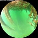 ./images/calvert/underwater/20260625/underwater20260625_135502M.jpg
