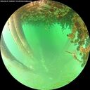 ./images/calvert/underwater/20260625/underwater20260625_140001M.jpg