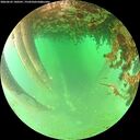 ./images/calvert/underwater/20260625/underwater20260625_140501M.jpg