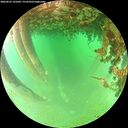 ./images/calvert/underwater/20260625/underwater20260625_141001M.jpg
