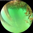 ./images/calvert/underwater/20260625/underwater20260625_141501M.jpg