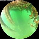 ./images/calvert/underwater/20260625/underwater20260625_142501M.jpg