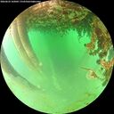 ./images/calvert/underwater/20260625/underwater20260625_143001M.jpg