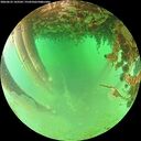 ./images/calvert/underwater/20260625/underwater20260625_143502M.jpg