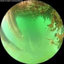 ./images/calvert/underwater/20260625/underwater20260625_144002M.jpg