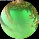 ./images/calvert/underwater/20260625/underwater20260625_144501M.jpg