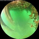 ./images/calvert/underwater/20260625/underwater20260625_145001M.jpg