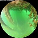 ./images/calvert/underwater/20260625/underwater20260625_150001M.jpg