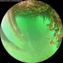 ./images/calvert/underwater/20260625/underwater20260625_150501M.jpg
