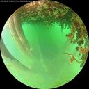 ./images/calvert/underwater/20260625/underwater20260625_151001M.jpg
