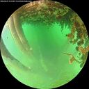 ./images/calvert/underwater/20260625/underwater20260625_151501M.jpg