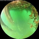 ./images/calvert/underwater/20260625/underwater20260625_152001M.jpg