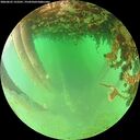 ./images/calvert/underwater/20260625/underwater20260625_152501M.jpg