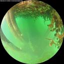 ./images/calvert/underwater/20260625/underwater20260625_153002M.jpg