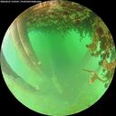 ./images/calvert/underwater/20260625/underwater20260625_153501M.jpg