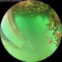 ./images/calvert/underwater/20260625/underwater20260625_154001M.jpg