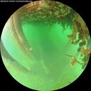 ./images/calvert/underwater/20260625/underwater20260625_154501M.jpg